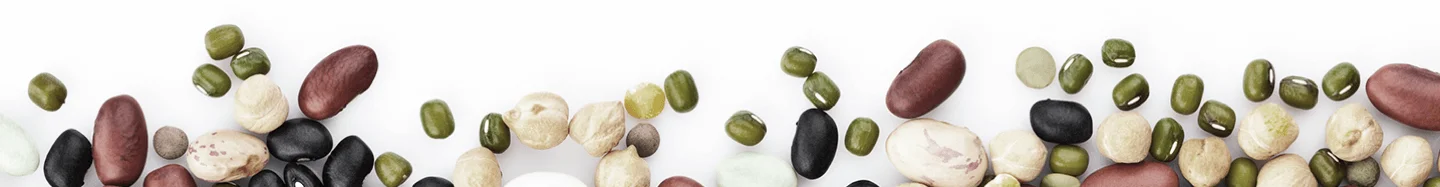 Women's Bean Project